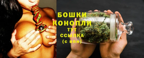 молекула духа Лихославль