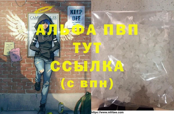 гашик Липки