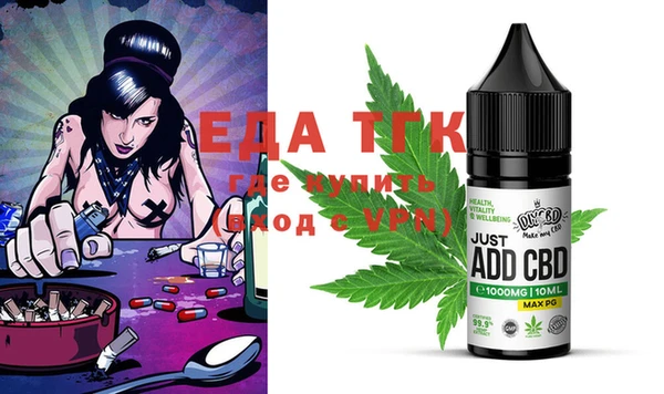 индика Няндома
