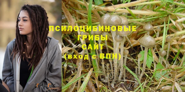 таблы Лиски
