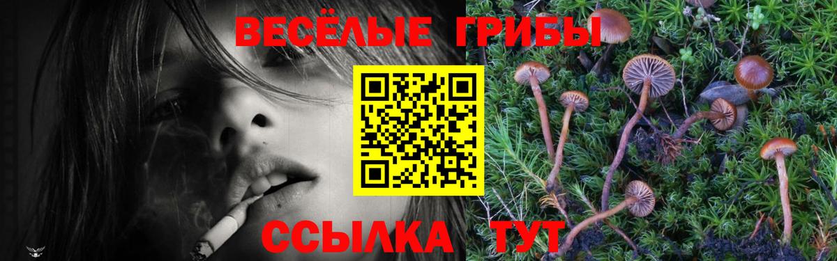 Галлюциногенные грибы Magic Shrooms Сочи